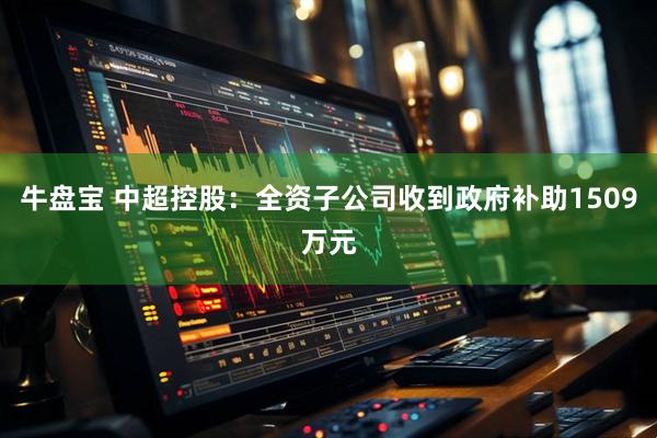 牛盘宝 中超控股：全资子公司收到政府补助1509万元