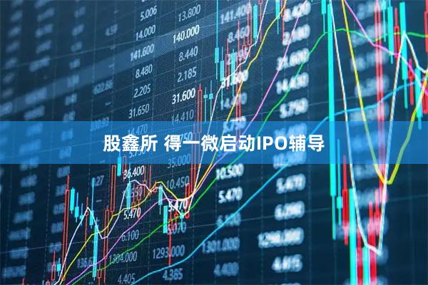 股鑫所 得一微启动IPO辅导