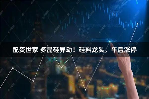 配资世家 多晶硅异动！硅料龙头，午后涨停