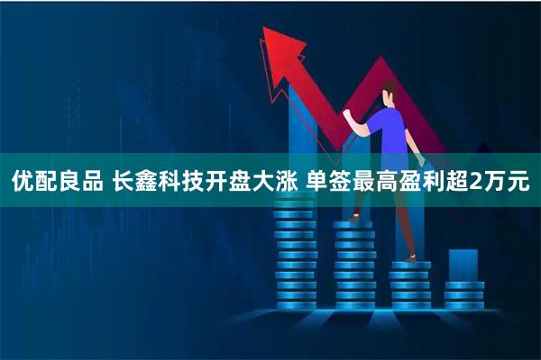 优配良品 长鑫科技开盘大涨 单签最高盈利超2万元