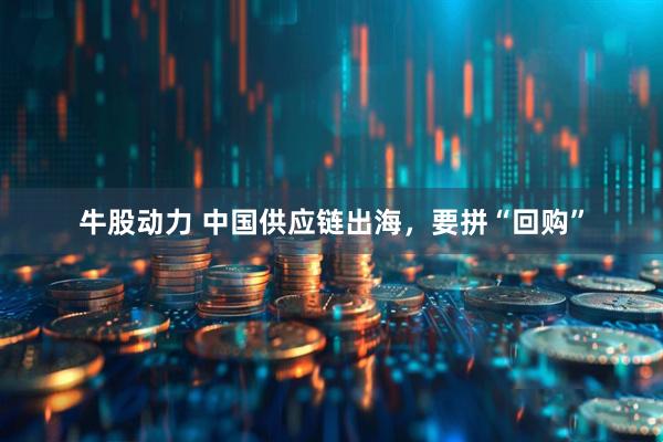 牛股动力 中国供应链出海，要拼“回购”