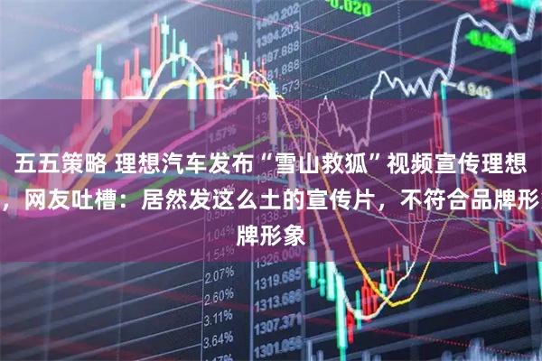 五五策略 理想汽车发布“雪山救狐”视频宣传理想i8,网友吐槽:居然发这么土的宣传片,不符合品牌形象