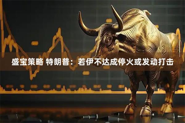 盛宝策略 特朗普:若伊不达成停火或发动打击