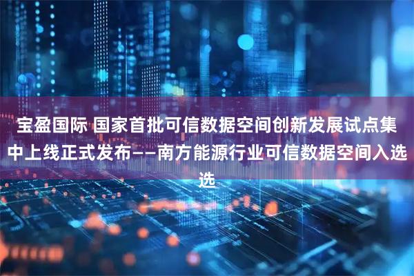 宝盈国际 国家首批可信数据空间创新发展试点集中上线正式发布——南方能源行业可信数据空间入选