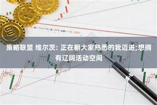 策略联盟 维尔茨: 正在朝大家熟悉的我迈进;想拥有辽阔活动空间