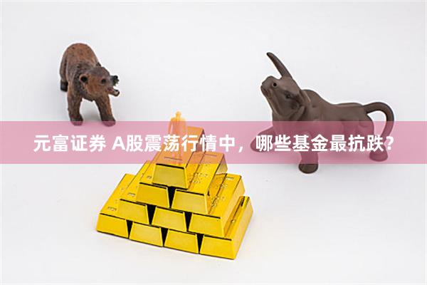 元富证券 A股震荡行情中，哪些基金最抗跌？