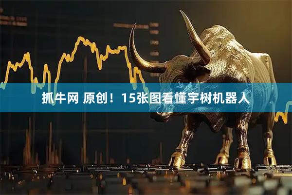 抓牛网 原创！15张图看懂宇树机器人