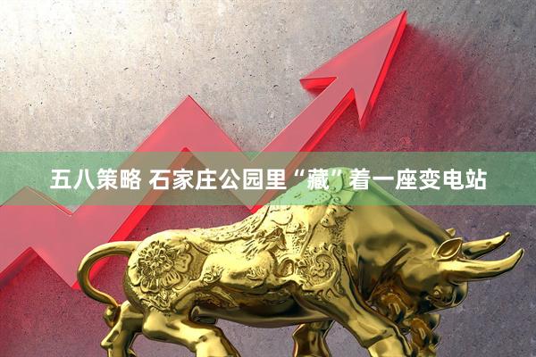 五八策略 石家庄公园里“藏”着一座变电站