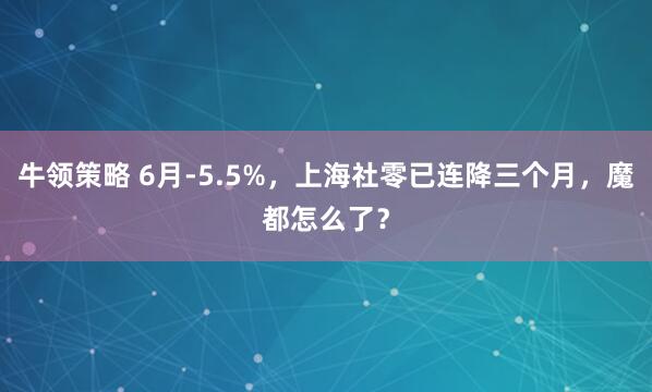 牛领策略 6月-5.5%，上海社零已连降三个月，魔都怎么了？